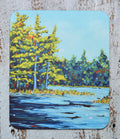 A Time to Reflect Mousepad